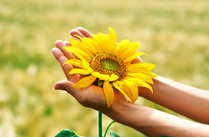 Inwestycje - WithMoney doradcy finansowi